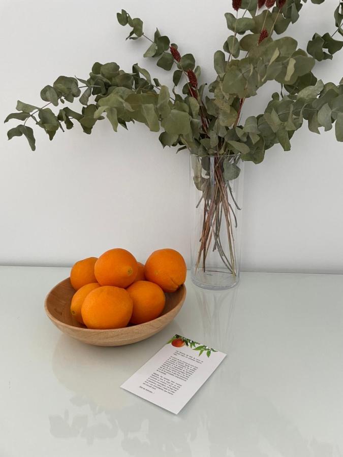 Apartamentos Con Encanto En El Centro De Granada Kültér fotó